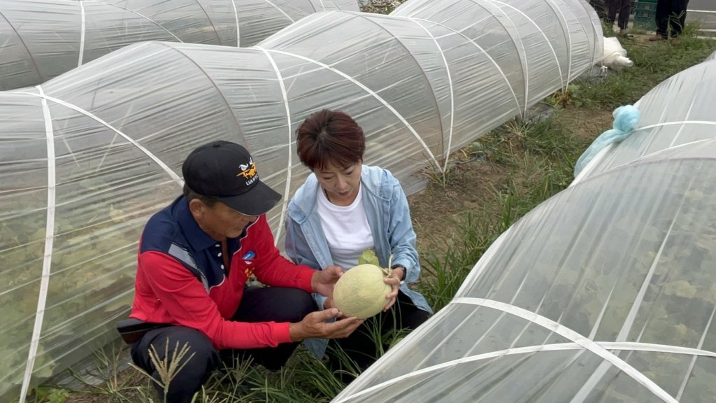 鳳凰颱風侵台 陳亭妃固守台南 由辦公室主任代為完成市長初選登記