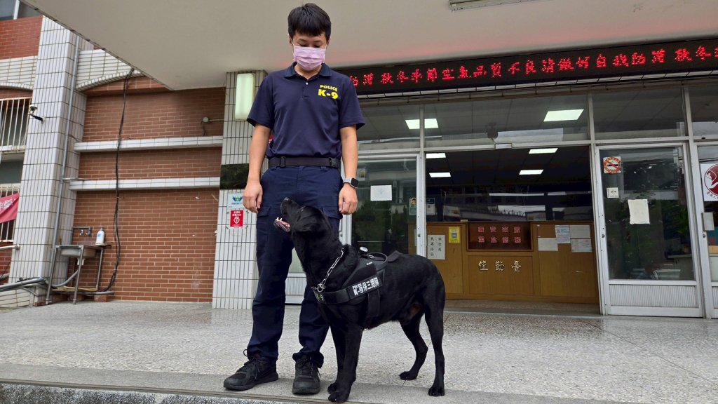 超萌緝毒犬立下戰功 南市少年隊破獲毒品大盤