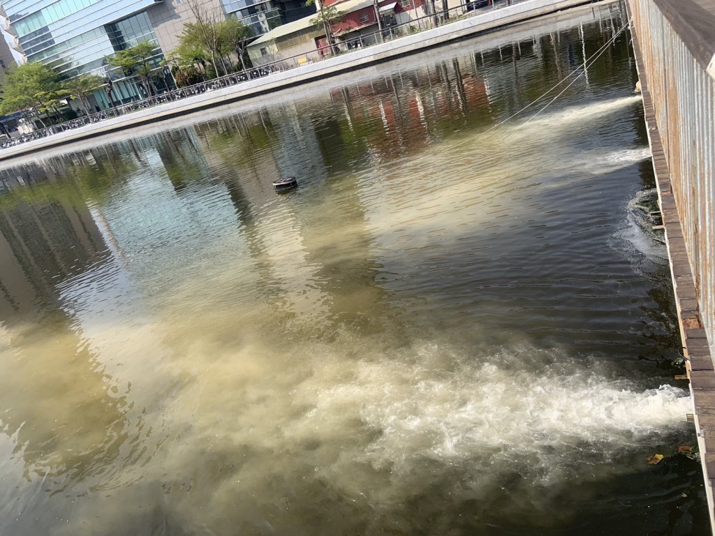 市府水利局相當重視運河水質 獲知有魚死亡立即進行淨化水質及含氧量