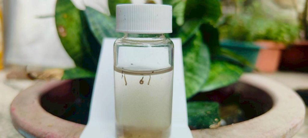 南市新增1例登革熱境外移入病例！市長黃偉哲提醒市民東南亞旅遊洽公，請做好防蚊措施