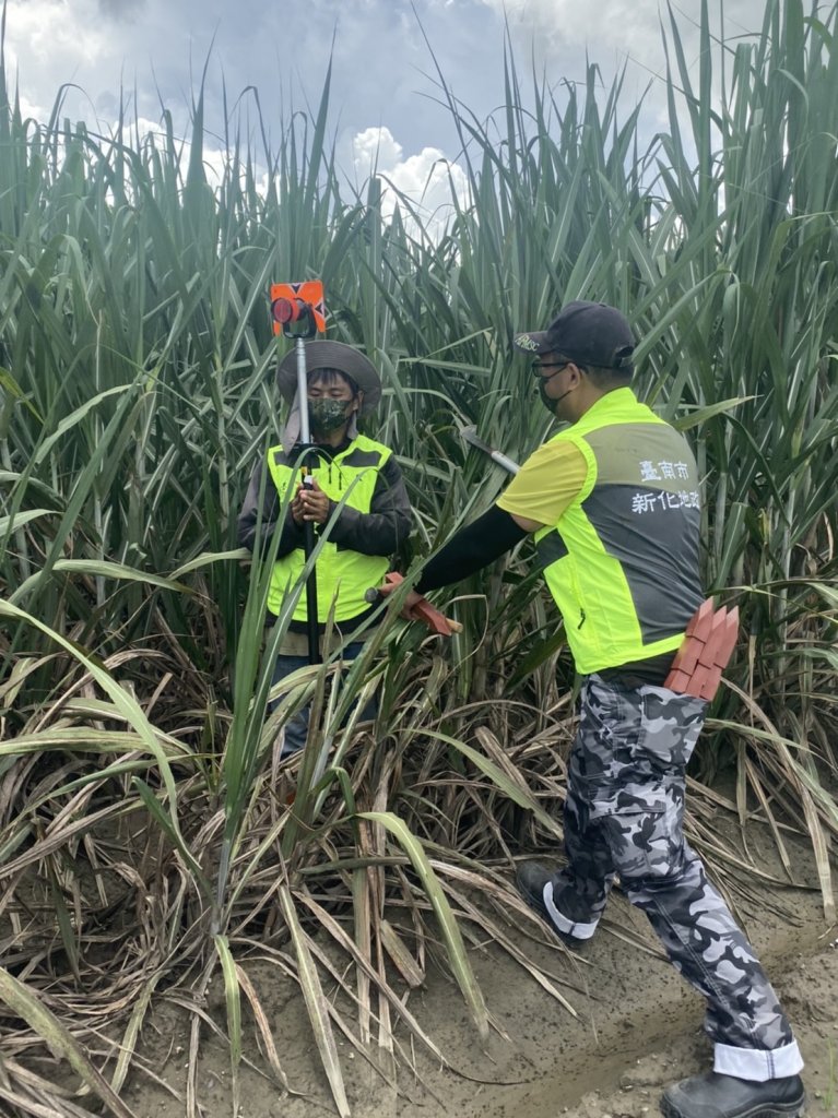  115年度臺南市11個行政區辦理地籍圖重測 12月起宣導會開跑