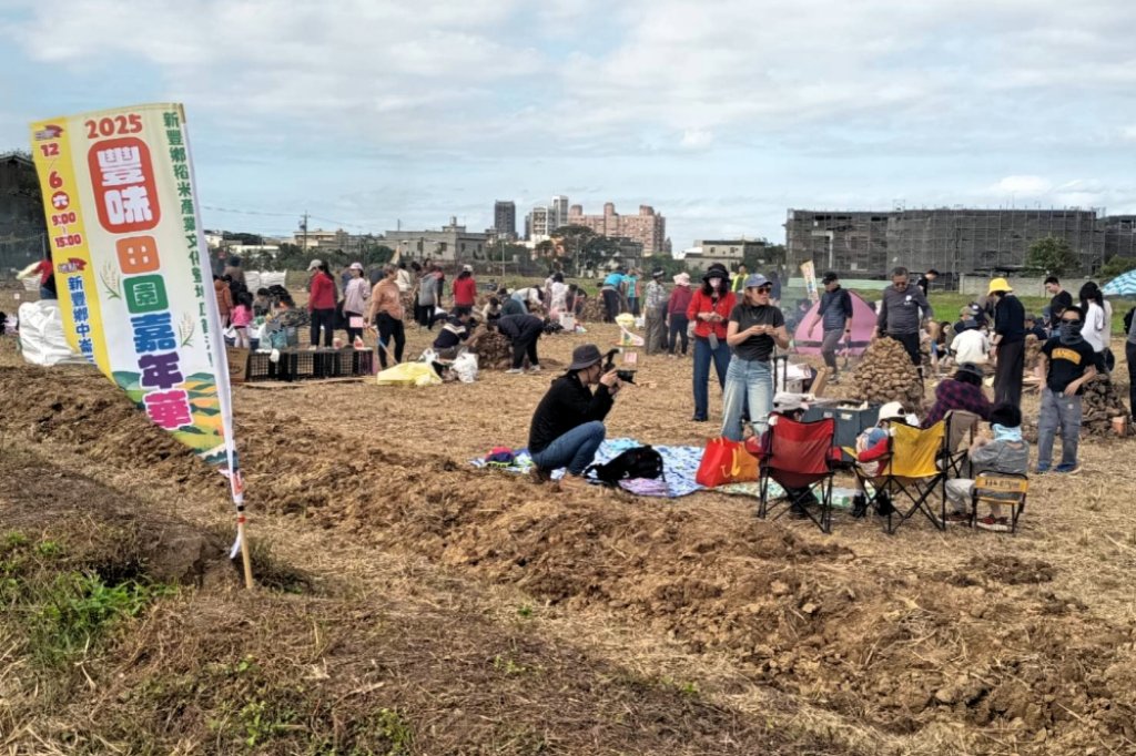 結合農村產業、親子互動與節慶氛圍　竹縣新豐稻米文化暨地瓜節逾千人焢窯登場
