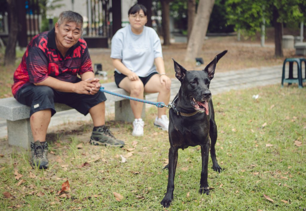 臺南市動保處推廣正確飼養觀念 與飼主一起守護毛孩安全！