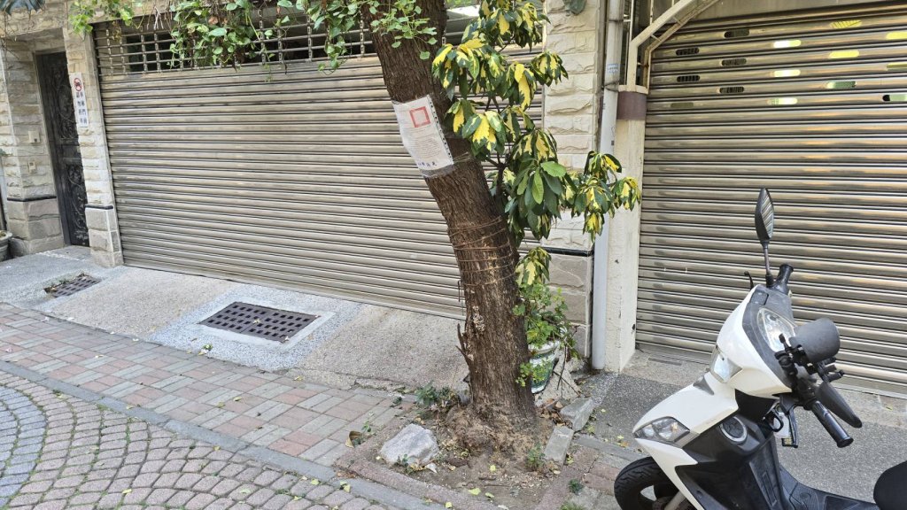 市民安全為優先 東區公所進行調查在東興路及怡東路巷口共四株危險樹木進行移除