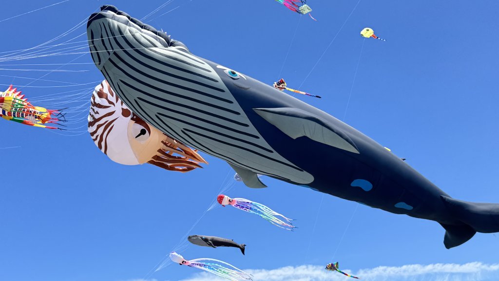 風箏翱翔迎耶誕節 2025曾文風箏嘉年華在這週末繽紛登場