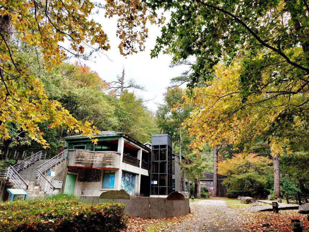 雪霸武陵花季在「梅好時光」樂音中揭幕