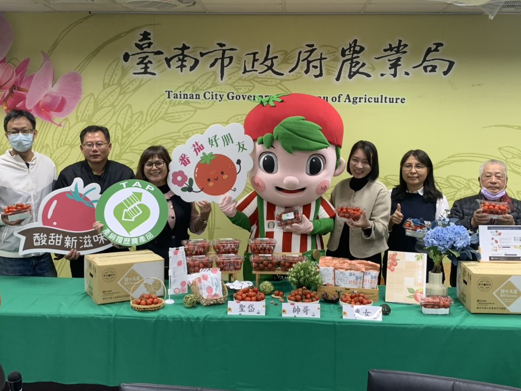 冬日限定好滋味 鹽水番茄產季到來農業局推廣民眾多吃多健康