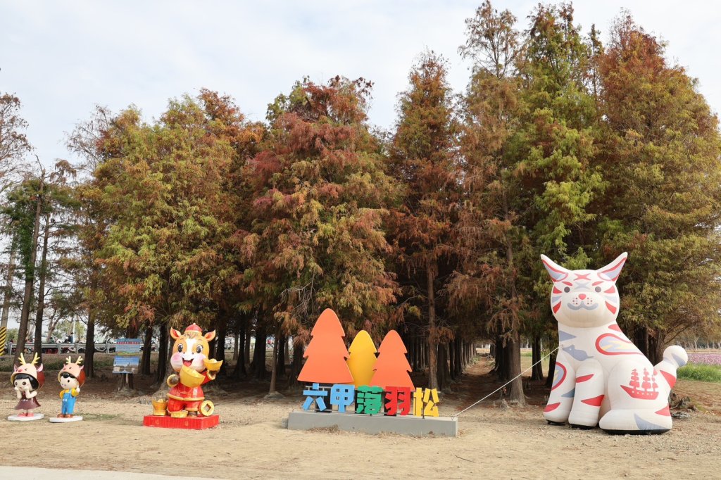 副市長姜淋煌邀民眾走進台南六甲 落羽松轉紅美景限時登場