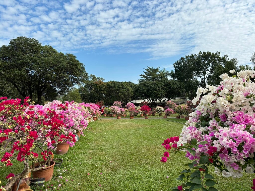 台灣好行「168虎埤老街線」推出春節期間散步導覽 即日起開放線上報名 