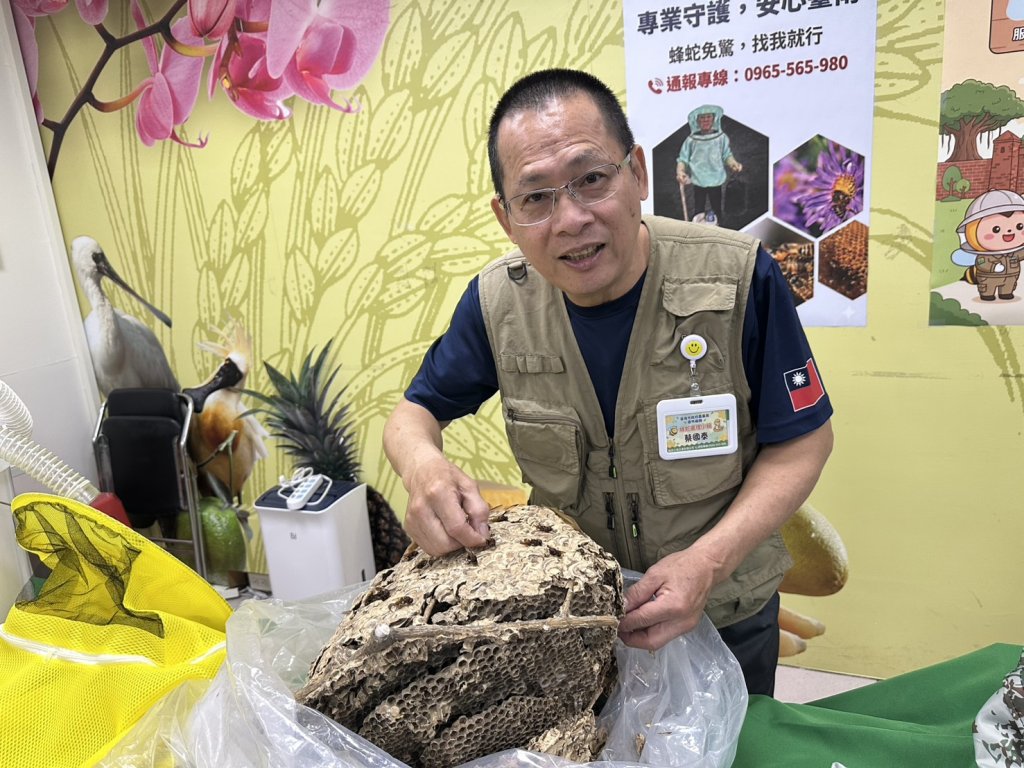 臺南市捕蜂捉蛇全年無休 有專業團隊守護市民安全