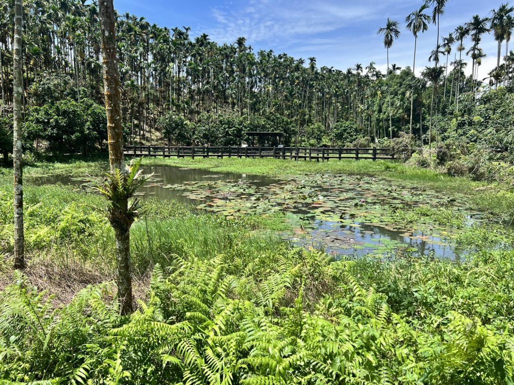 臺南東山區產業、文化與觀光地方創生提案獲中央補助