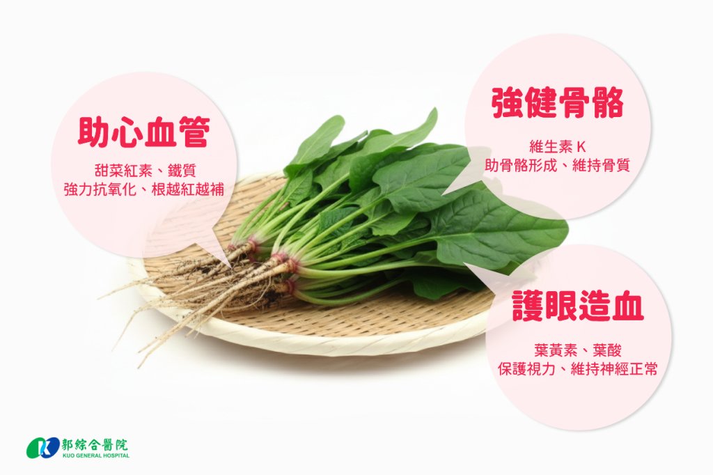 郭醫院：菠菜根的營養價值高 具有抗氧化、助心血管健康功能  