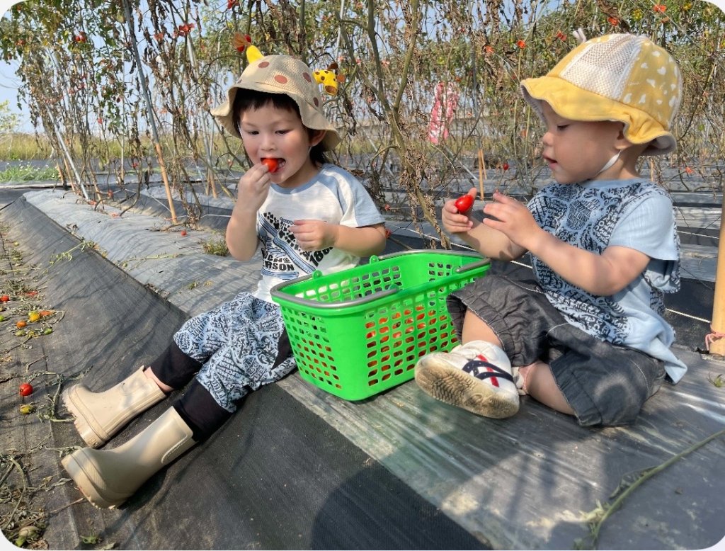農業局推柳營太康有機農業專區 到此一遊可以幸福加馬享健康
