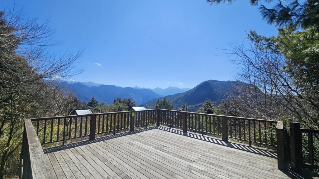 雪霸觀霧遊憩區「雲霧步道」修繕完工｜115年 2月14日恢復開放  