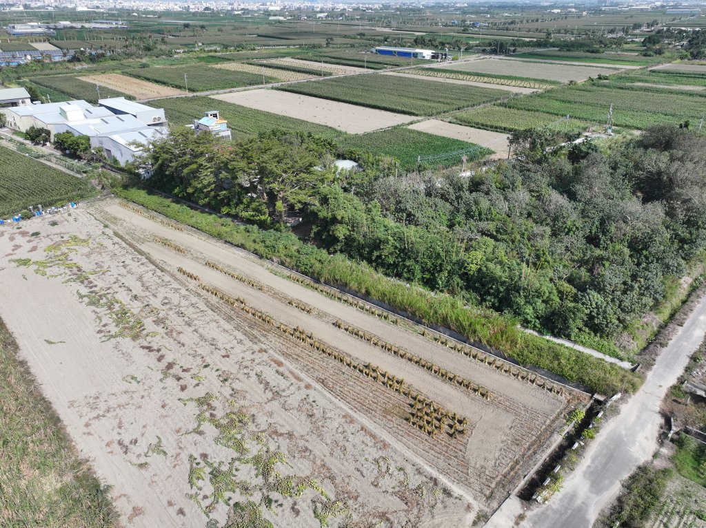 無人機偵查土地狀況更有效率 南市地政局強化巡查、保障市民權益