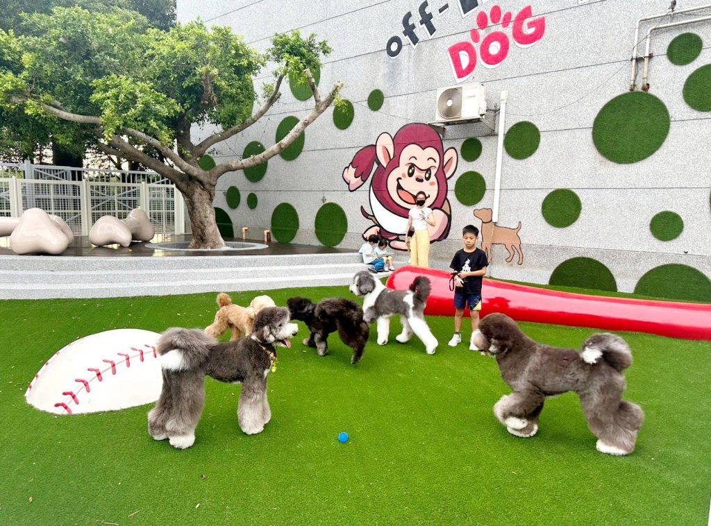 毛小孩走春趣！桃園山海湖漫旅、友善寵物放電地圖報你知