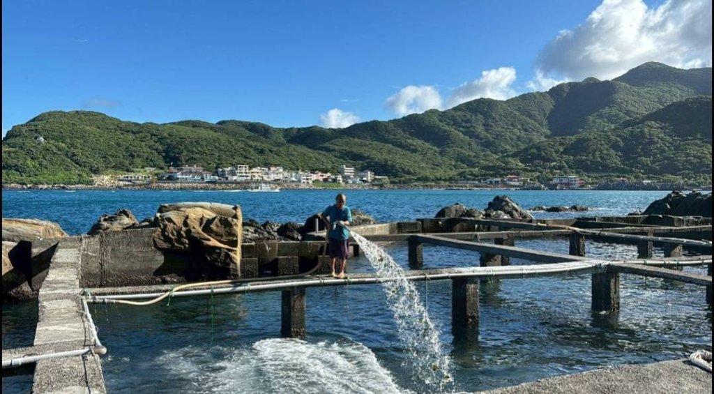 迎春暢遊東北角  山海線品味貢寮鮑 「鮑」您馬年好運來