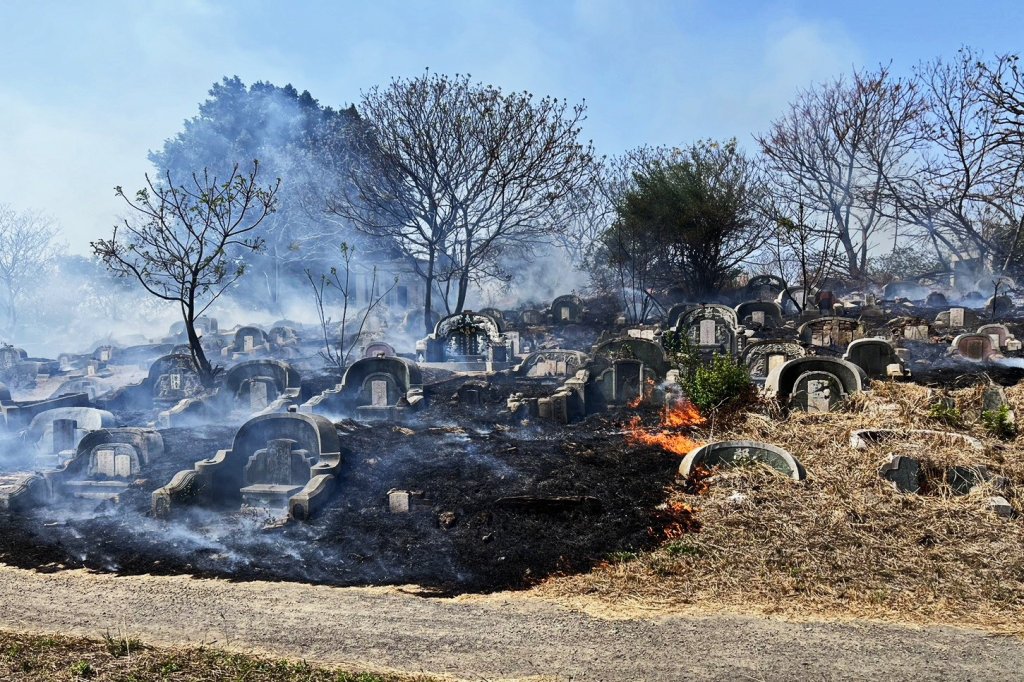 春節公墓火警頻傳 殯葬所呼籲祭祖切勿亂燒雜草，觸法得不償失
