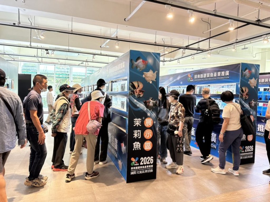 屏東農業物產館化身國際舞台　2026孔雀魚世界盃2月底農業物產館盛大登場