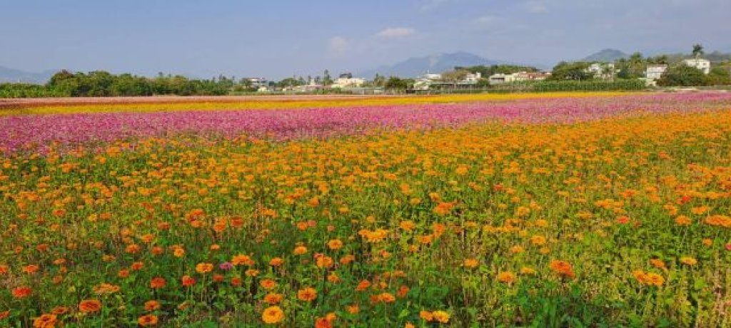 旗山溪流量低迷農田供灌受阻 杉林農民抗爭獲回應：供水延至4日並籲速插秧
