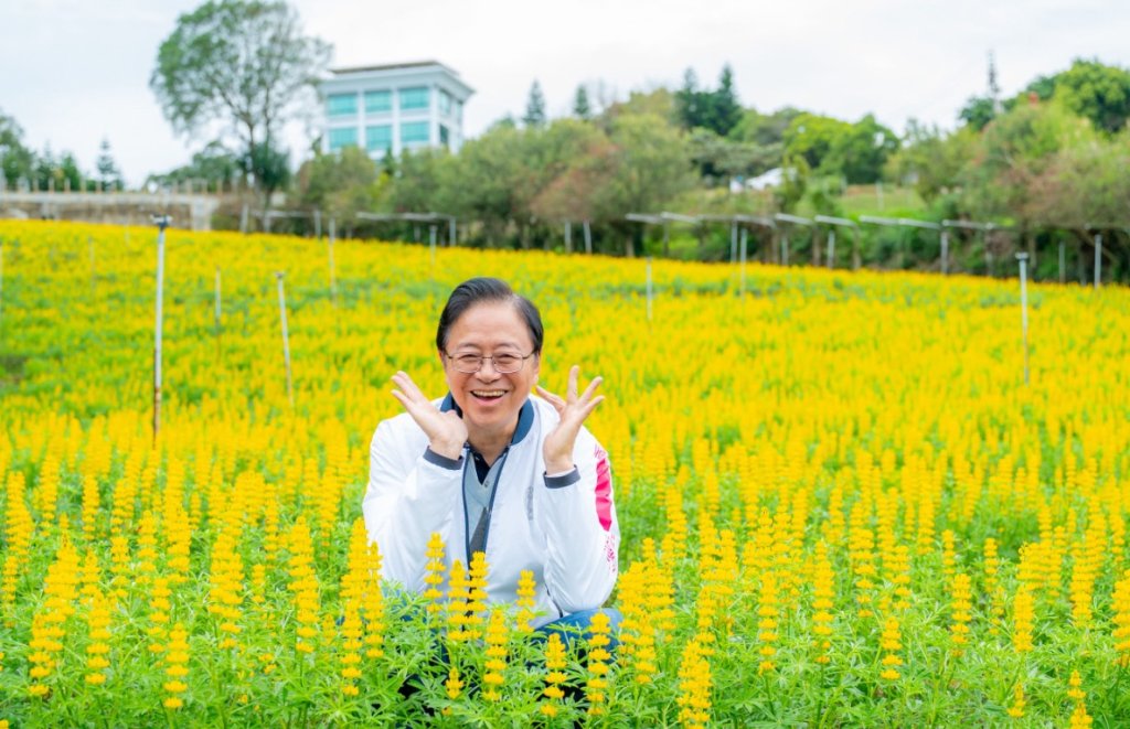 2026魯冰花季盛大開幕　張善政力邀國人來龍潭賞花