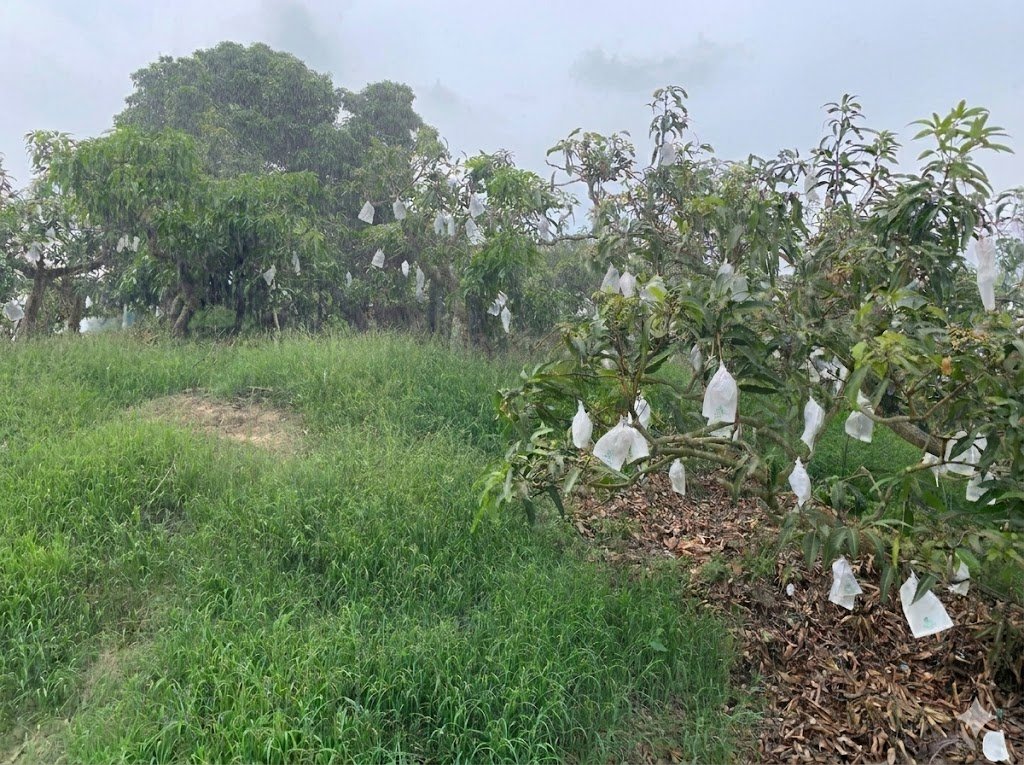 春雨報到紓解旱象 黃偉哲指示持續監控水情及防汛整備工作