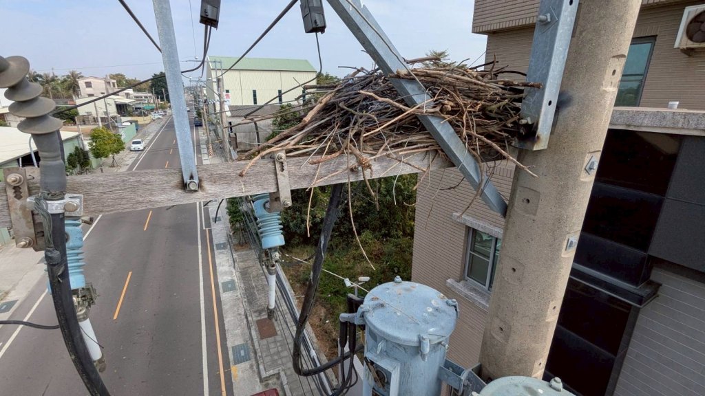 「驚蟄到」鳥獸甦醒樹竹萌發 台電台南區處宣誓守護穩定供電