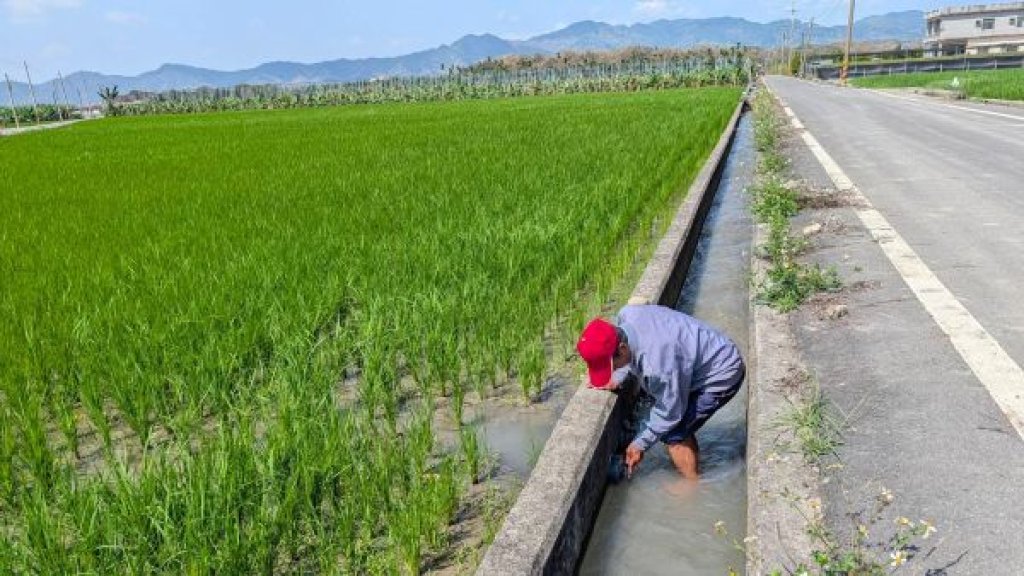 農水署高雄處全力抗旱 啟動美濃抗旱井並成立應變小組 穩定農民灌溉權益