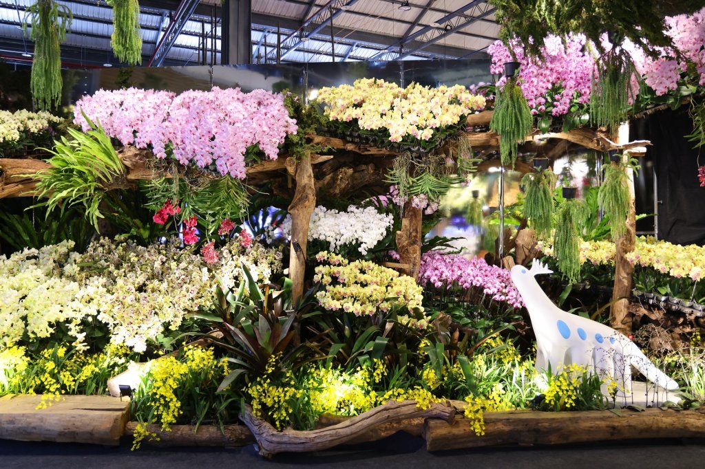 從日本紅回臺灣！超萌神獸降臨2026臺灣國際蘭展