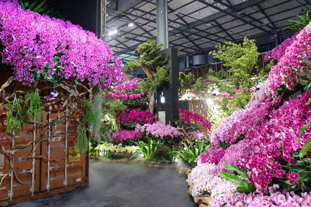 2026 臺灣國際蘭展最後倒數！賞蘭搭配深度療癒之旅 南市府邀大眾共賞春日花朵