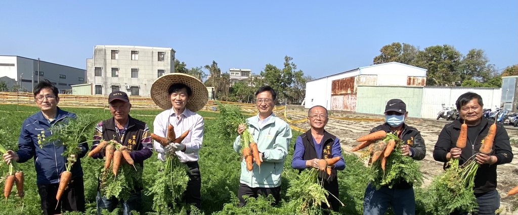 橘紅木棉花海迎春 將軍紅蘿蔔同樂會熱鬧登場