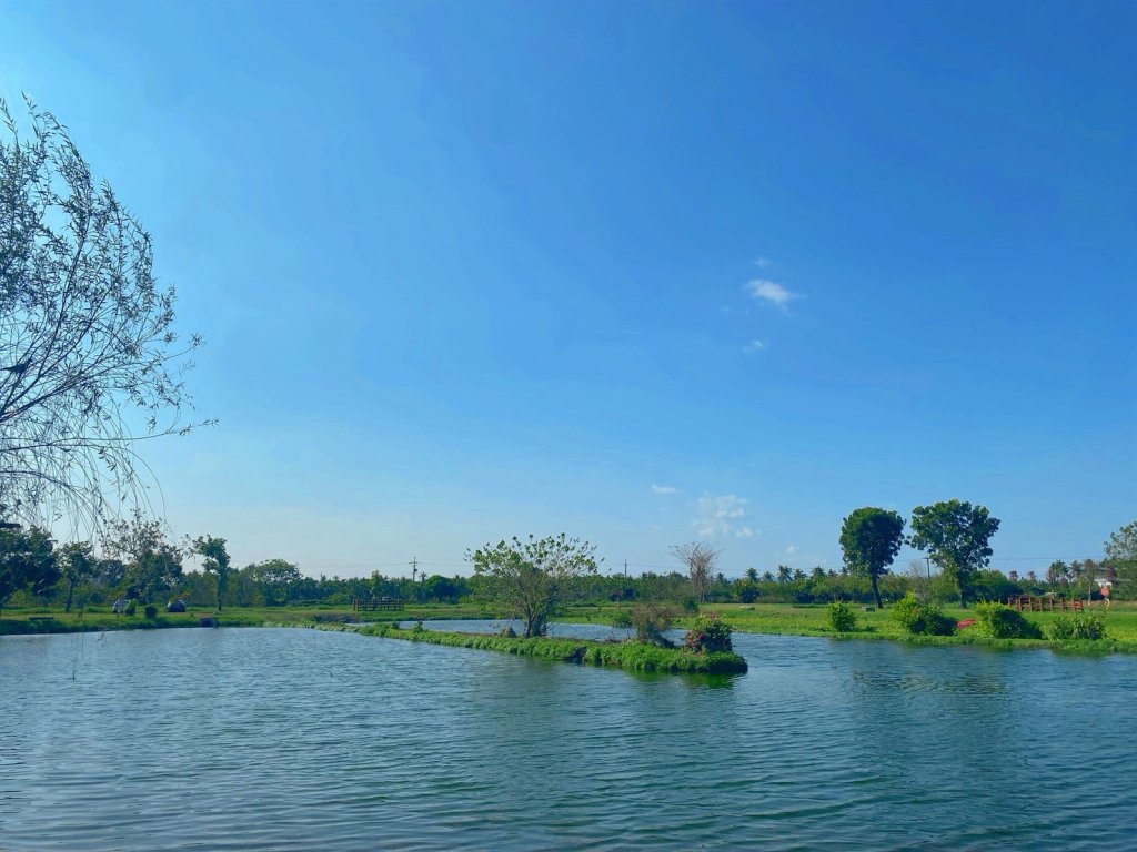 115年屏東區域植樹活動　「原地扎根•韌性森活-植草護地•鴞遙森活」3/21登場