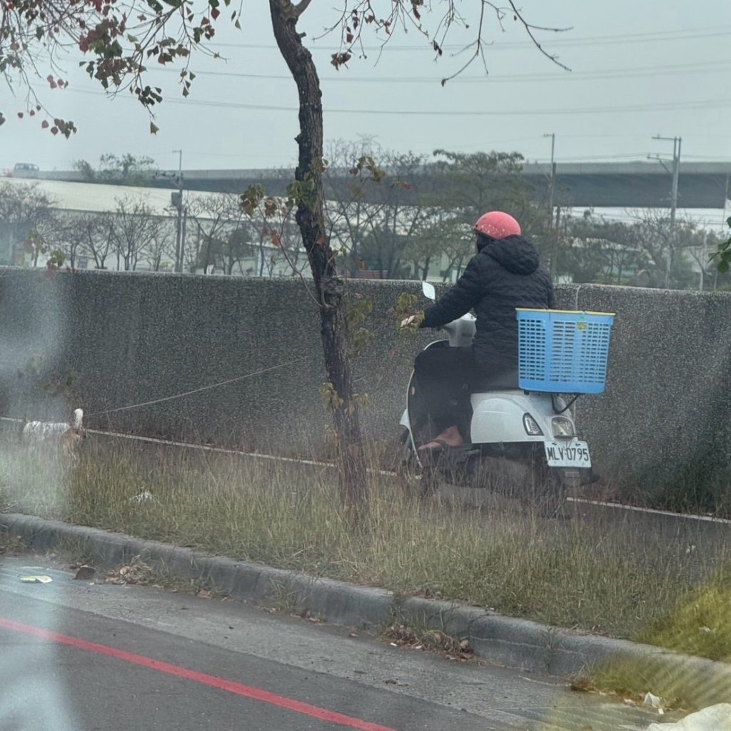 陳文祥抨擊水利局未管理好山海圳步道 讓機車亂騎進去影響用路人安全