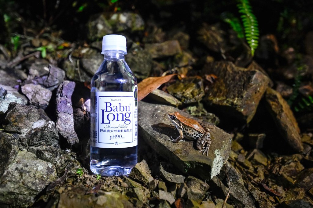 巴部農水源地獲OECM保育共生地認證  