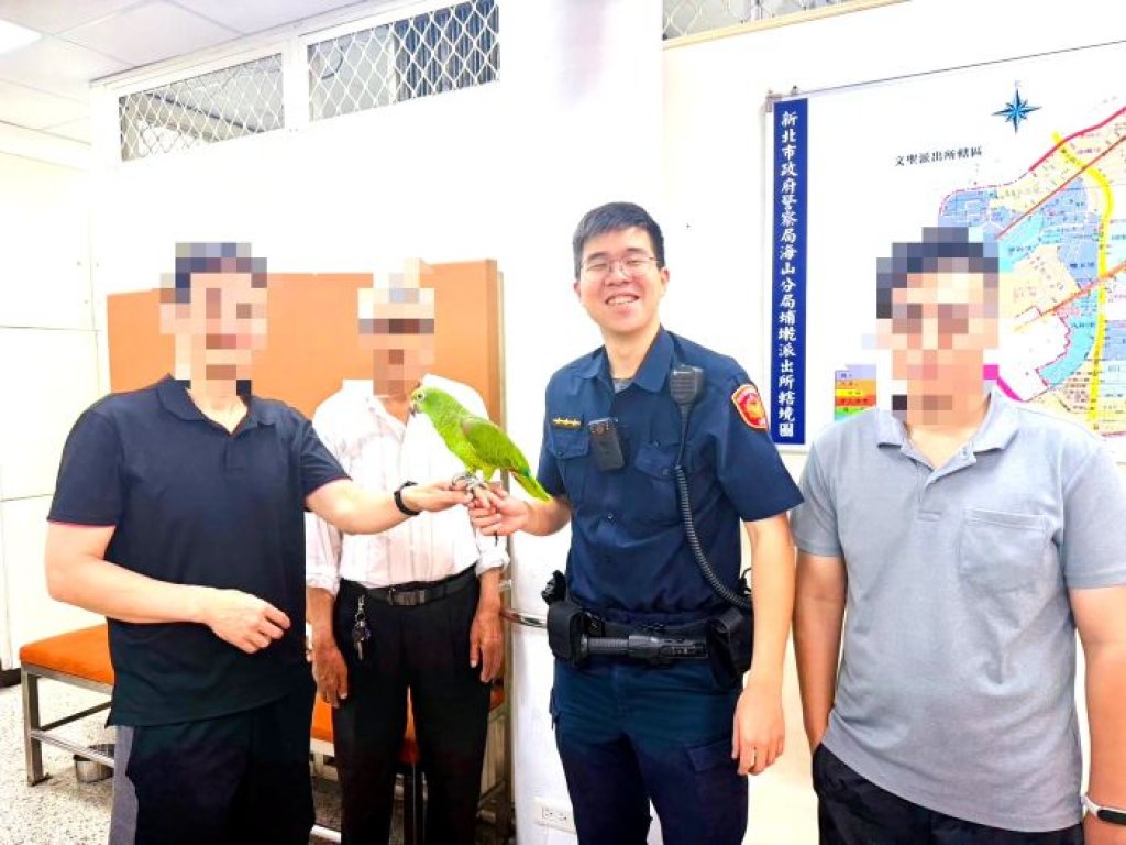 小黃帽鸚鵡失而復得　熱心員警細心協尋飼主感激不已