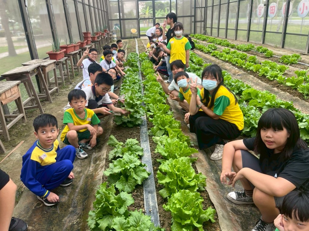 當季尚青！教育局讓臺南在地食材入校園 邀全民大啖盛產高麗菜