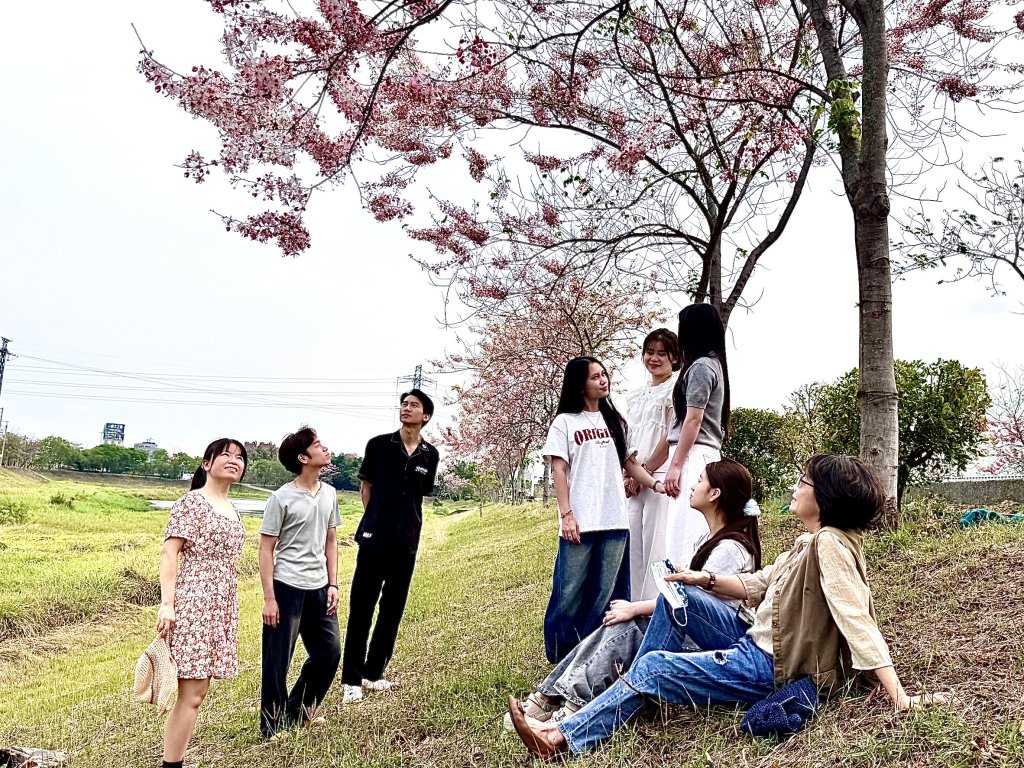 仁德滯洪池花旗木綻開 中華醫大師生分享最新花況 嫣紅花朵配上綠草如茵景致令人陶醉