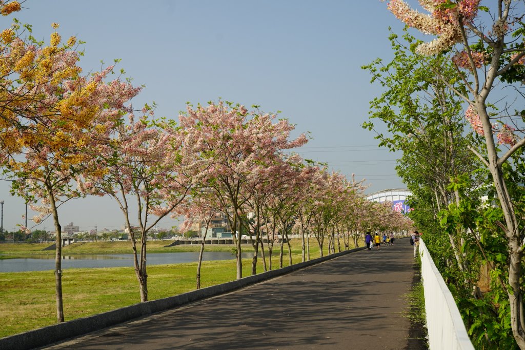 黃偉哲極力提升滯洪池量能 打造韌性承洪城市守護家園安全