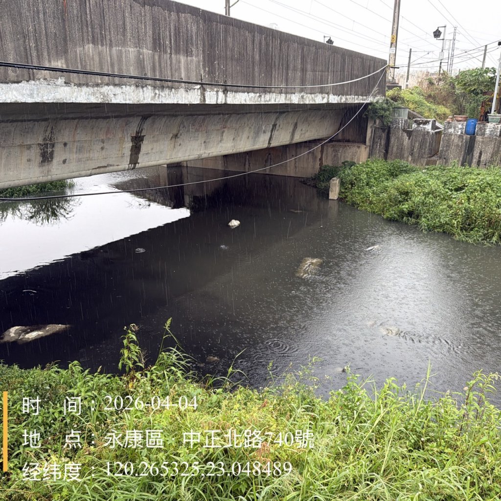 永康區排水渠道大量魚隻死亡 水利局迅速打撈維護環境生態