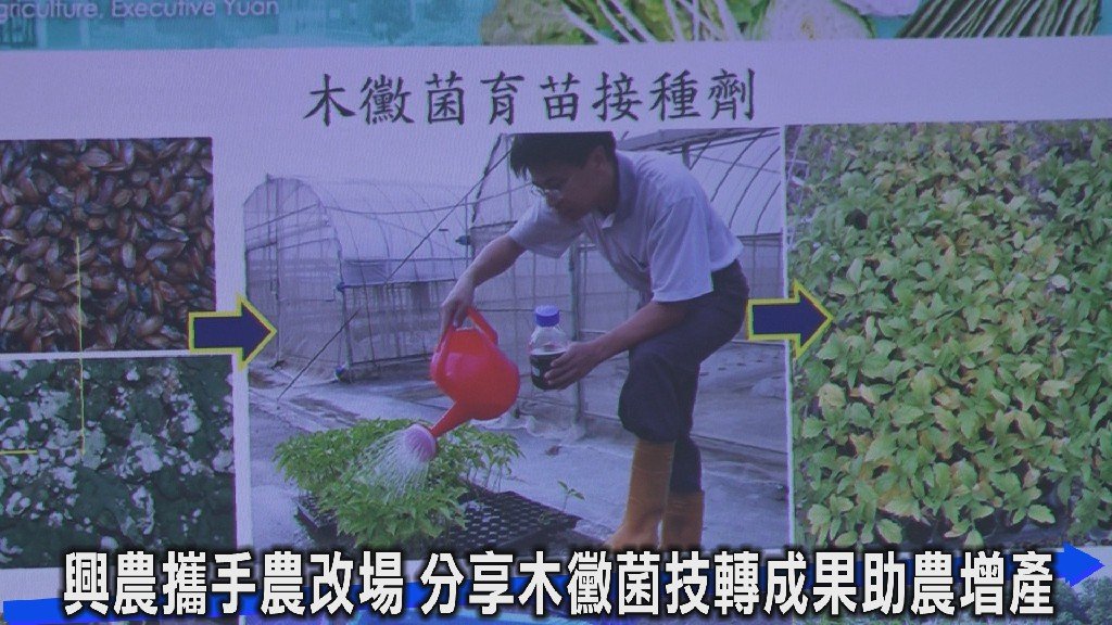 作物健康管理夯 興農太平供應中心舉辦免費農業講座送好禮