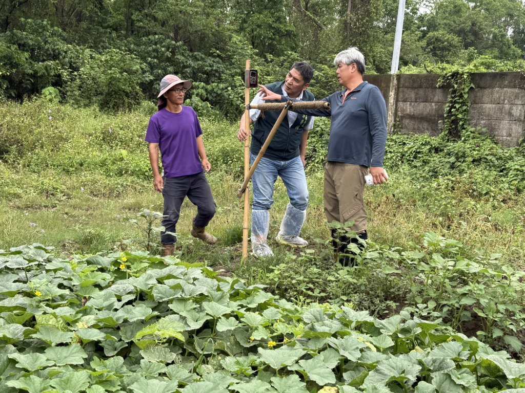 臺南擴大推動草鴞生態給付 延續黑面琵鷺與水雉保育成果打造棲地共榮