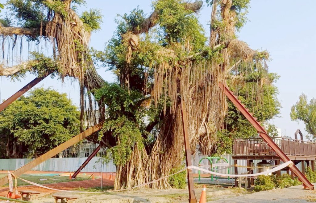 農業局守護城市綠色資產 傳遞環境教育向下扎根