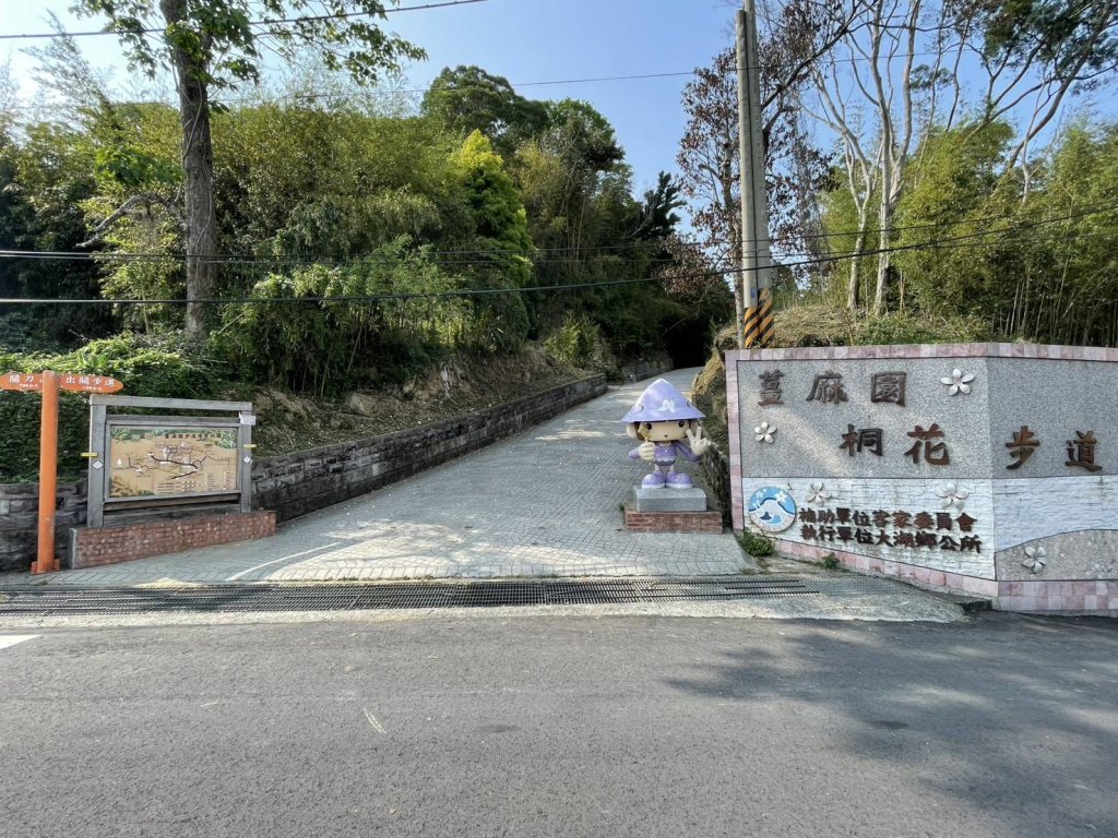 大湖薑麻園客庄小旅行開放報名｜賞桐健行、手作體驗一次滿足