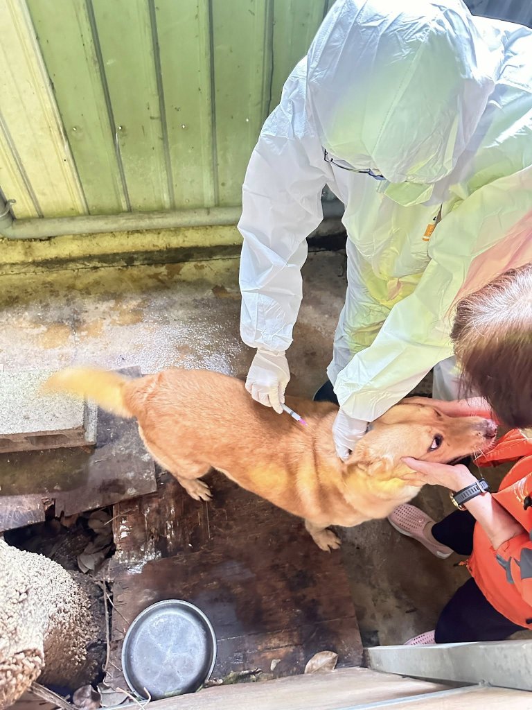 苗栗縣動防所訪視民間狗場｜辦理疫苗施打與防疫宣導