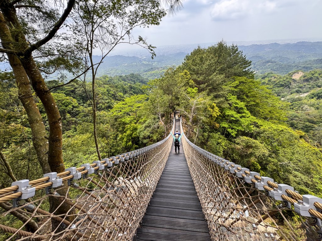 挑戰「台中第一難」！大坑4號步道修復回歸，新設繩索橋成雲端打卡新亮點