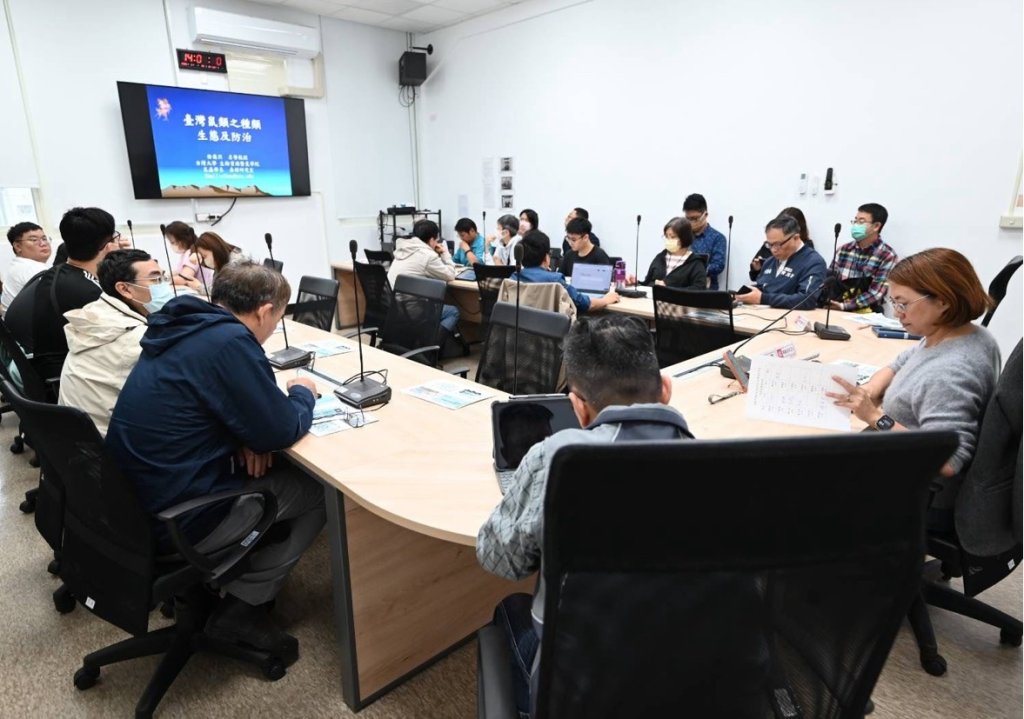 防範鼠患 桃市府啟動跨局處因應機制 複式巡查高風險區域