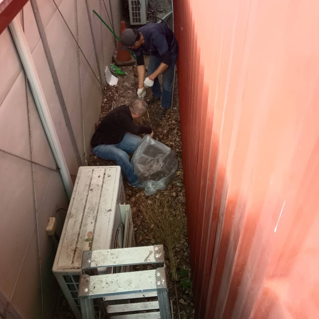 強化古蹟環境管理 臺南市文化局全面啟動防鼠清消機制