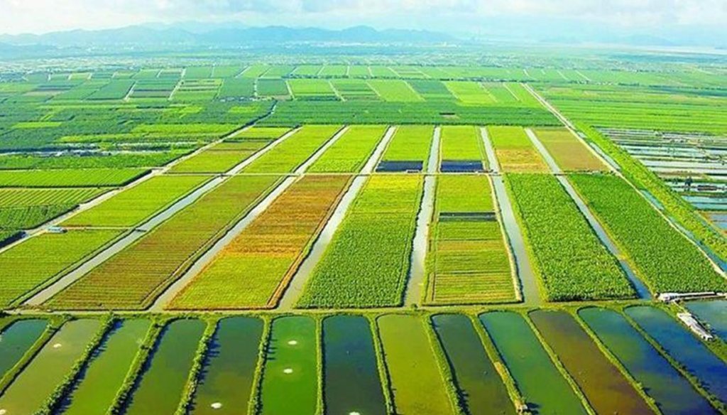 活化農地利用-桃園市辦理115年農地重劃區抵費地公開標售