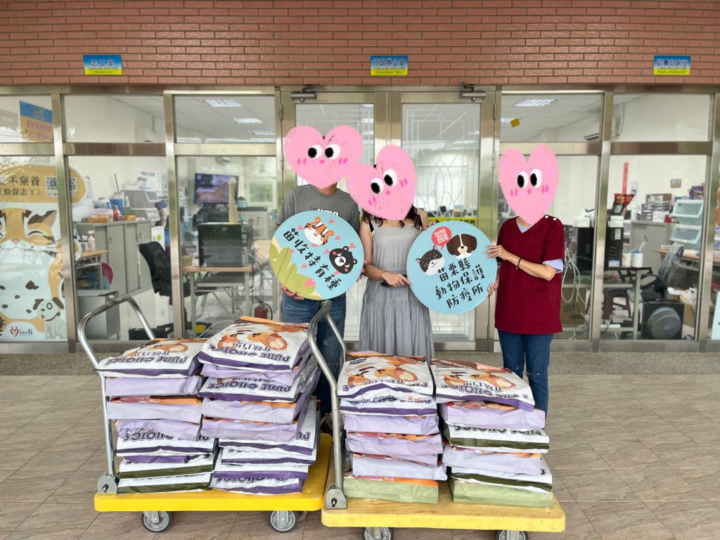 桐花飄雪暖心更暖毛孩｜苗栗收容所邀民眾認養「給牠一個家」
