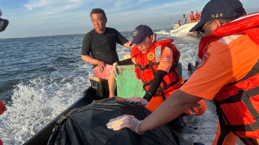 極危巨獸歸海！　海生館成功野放稀有革龜！